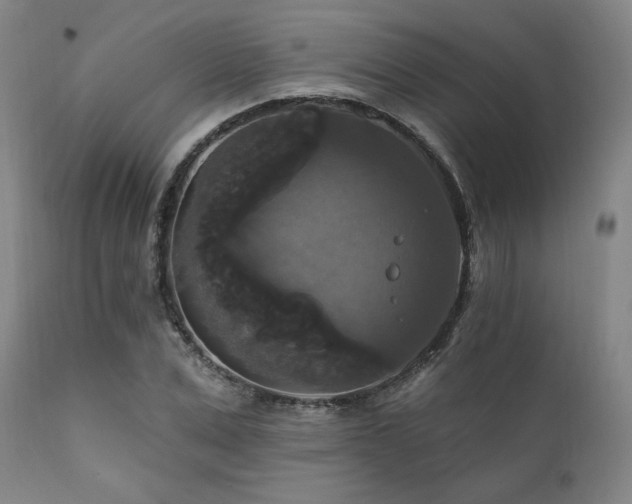 X0000111820975200907231314