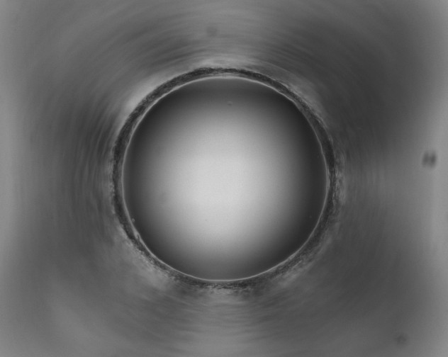 X0000111820976200907231314