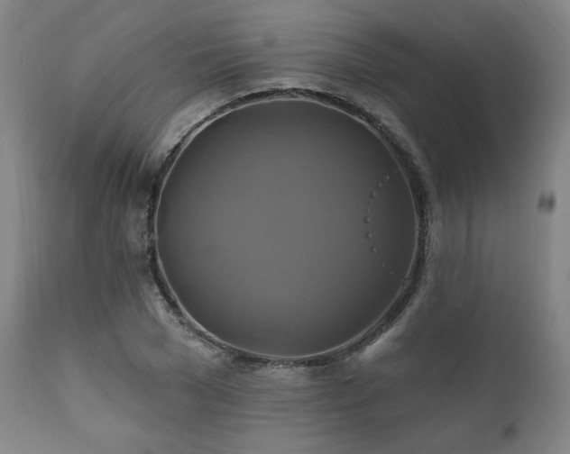 X0000111820977200907231314