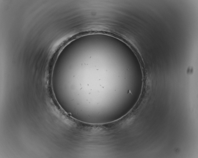 X0000111820979200907231314