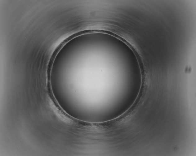 X0000111820980200907231314