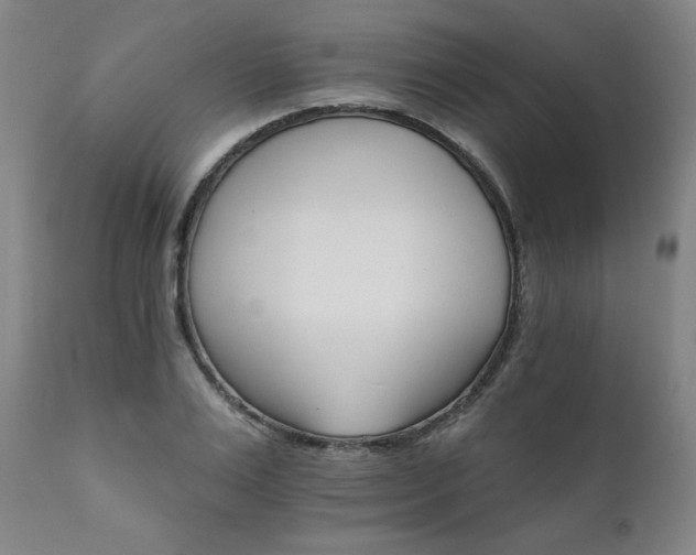 X0000111820983200907231314