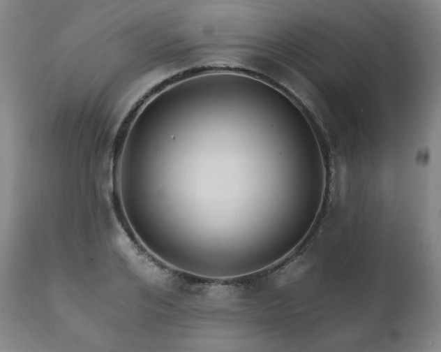 X0000111820984200907231314
