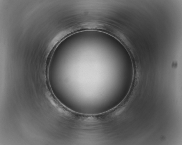 X0000111820986200907231314