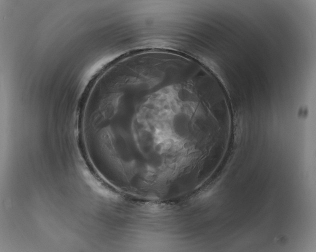 X0000111820987200907231314