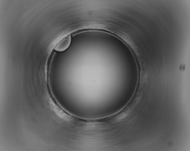 X0000111820988200907231314
