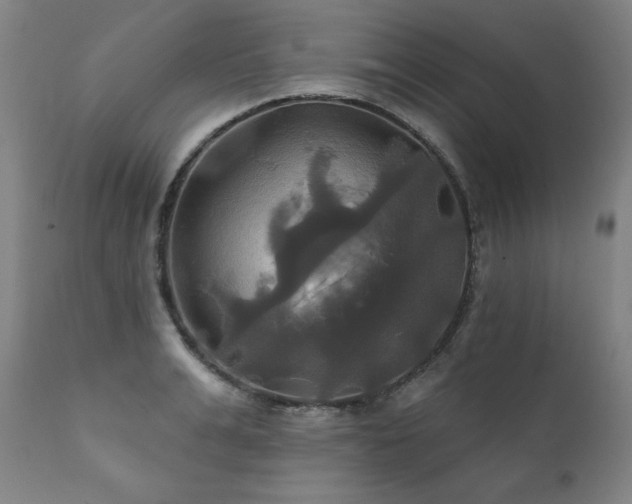 X0000111820991200907231314