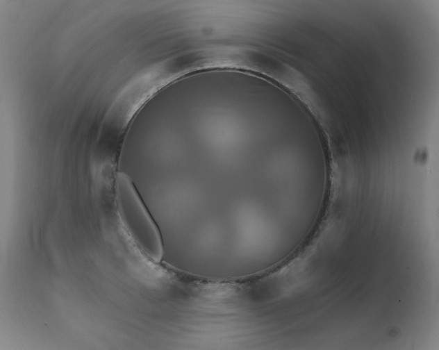 X0000111820993200907231313