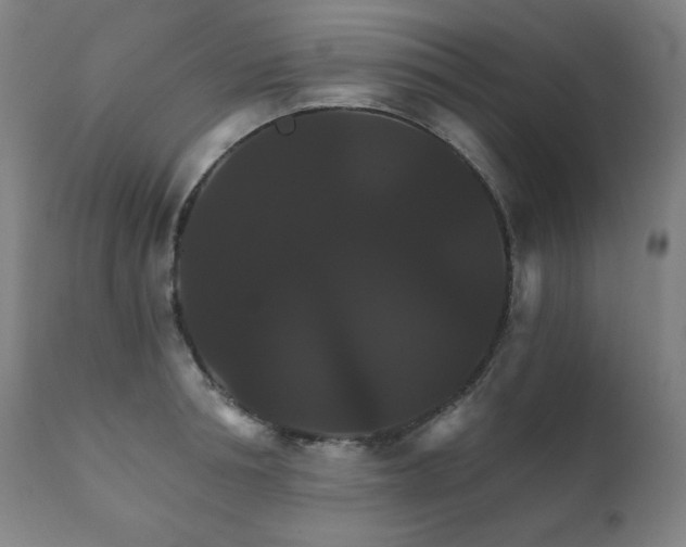 X0000111820994200907231313