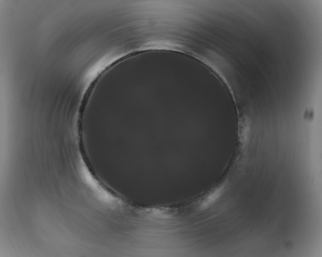 X0000111820995200907231313