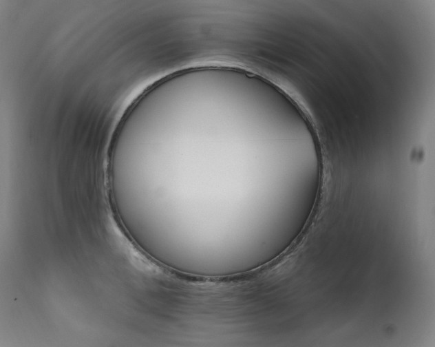 X0000111820996200907231313