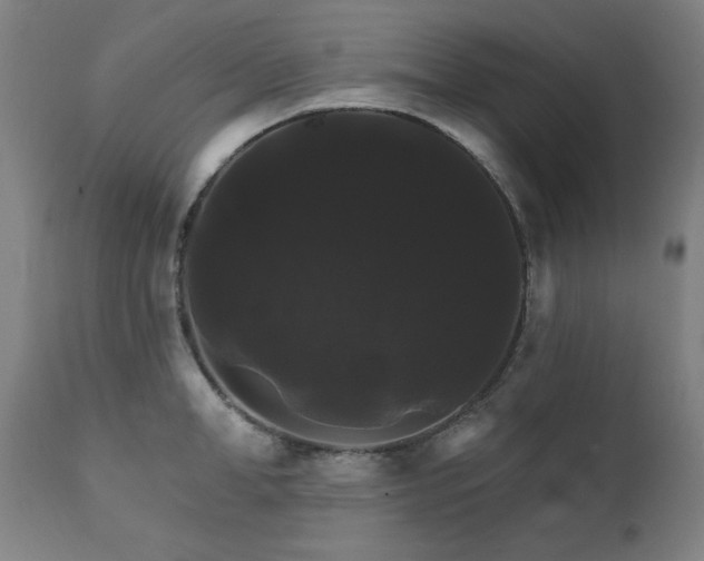 X0000111820998200907231313