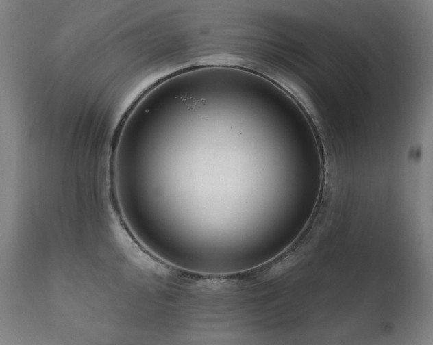 X0000111821000200907231313