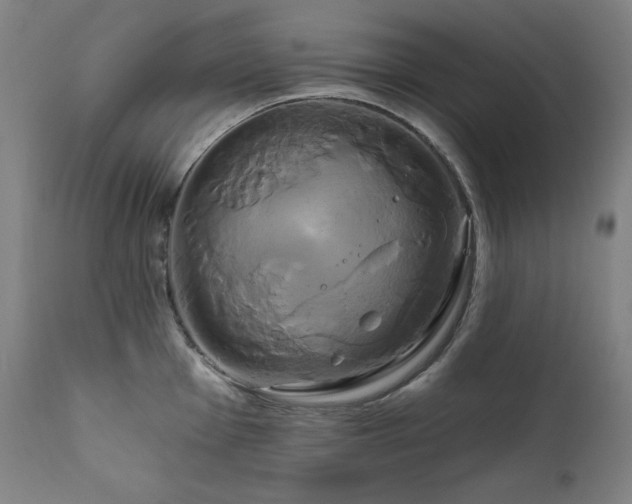 X0000111821001200907231313