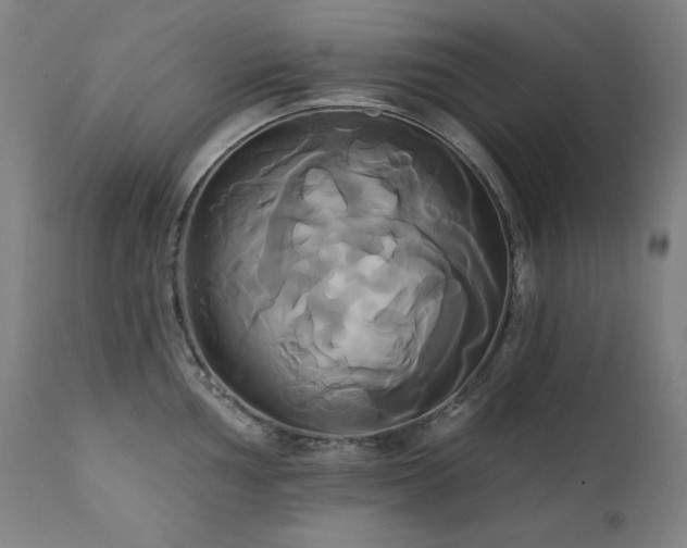 X0000111821002200907231313