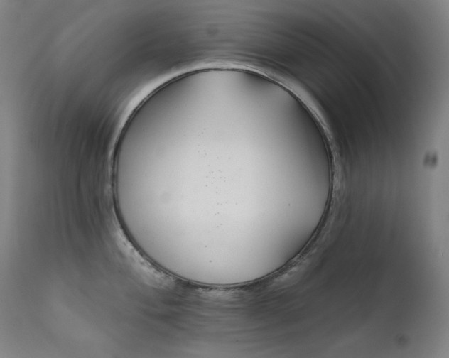 X0000111821004200907231313
