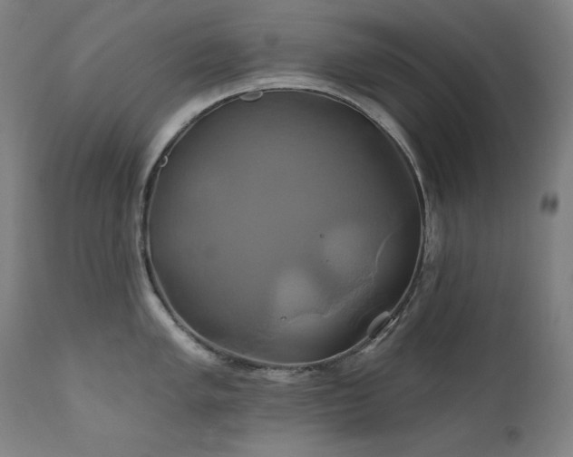 X0000111821005200907231313