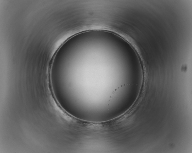 X0000111821006200907231313