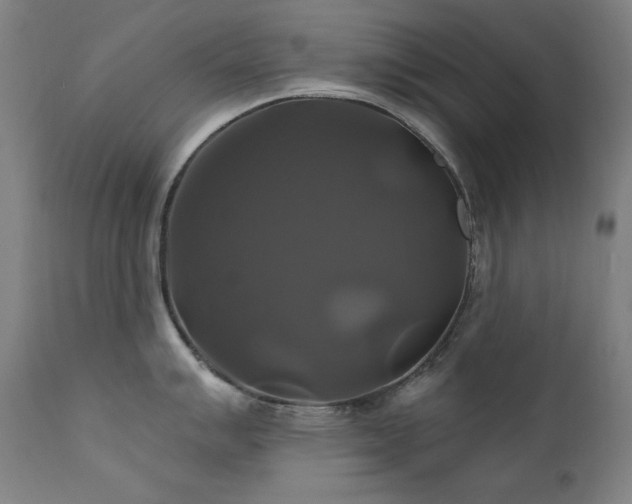 X0000111821007200907231313