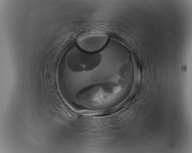 X0000111821009200907231313