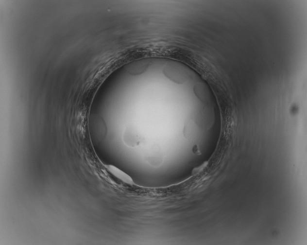 X0000111821010200907231313