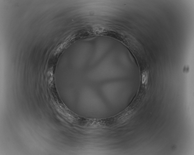 X0000111821011200907231313