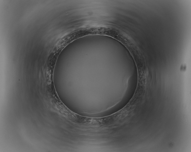 X0000111821013200907231313
