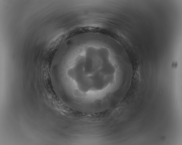 X0000111821014200907231313