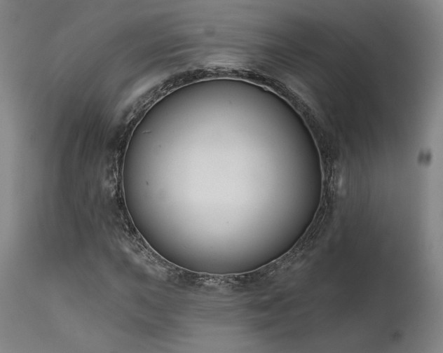 X0000111821015200907231313