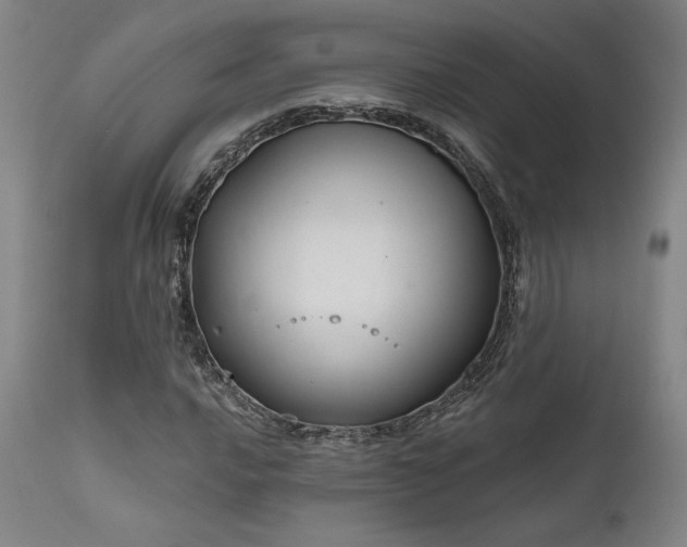X0000111821016200907231313