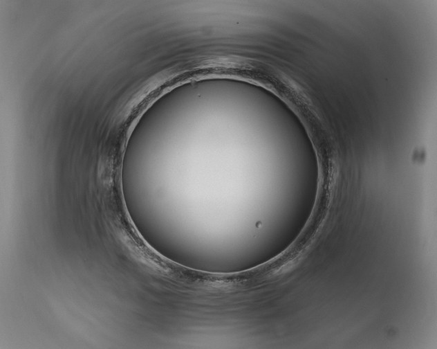 X0000111821017200907231313