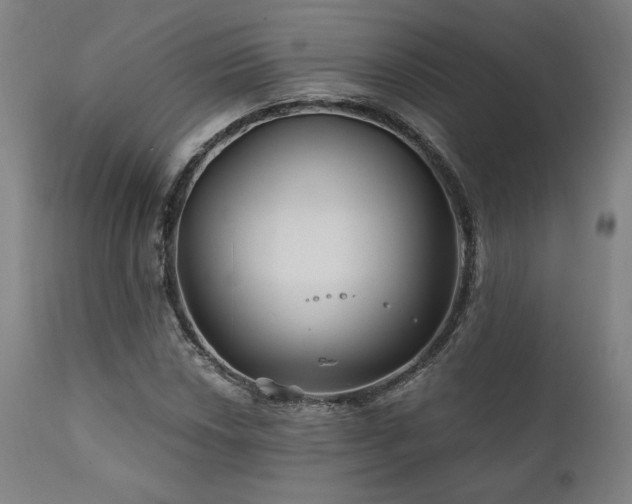 X0000111821018200907231313