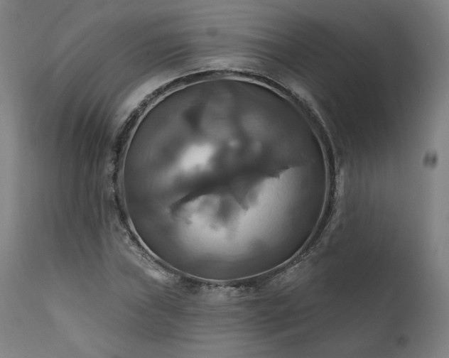 X0000111821019200907231313