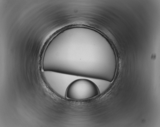 X0000111821020200907231313