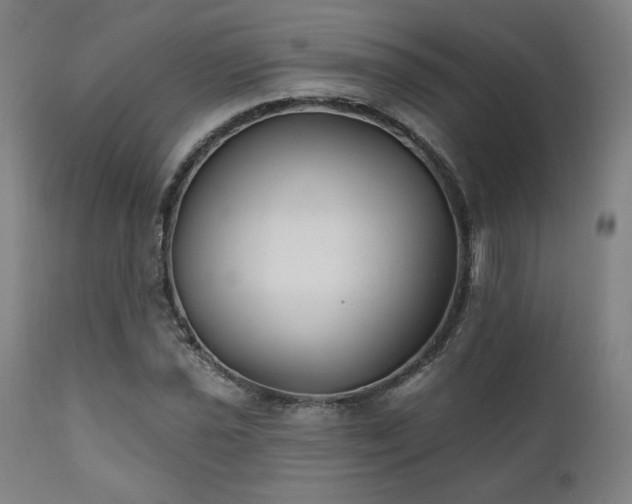 X0000111821021200907231313