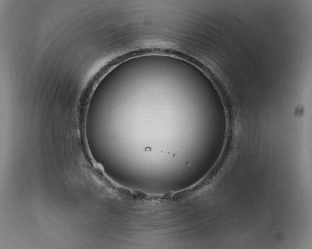 X0000111821022200907231313