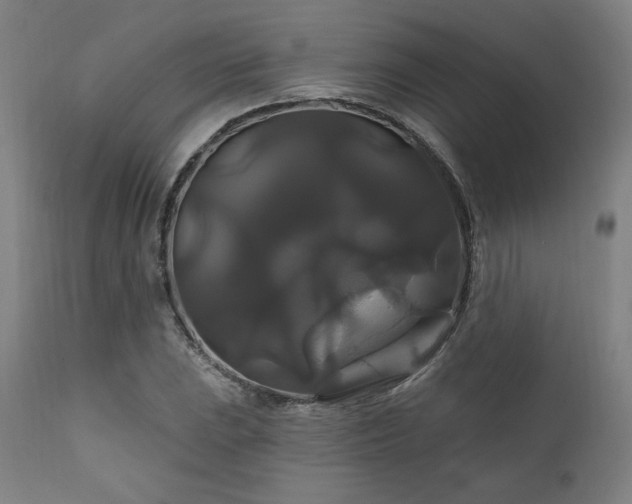 X0000111821023200907231313
