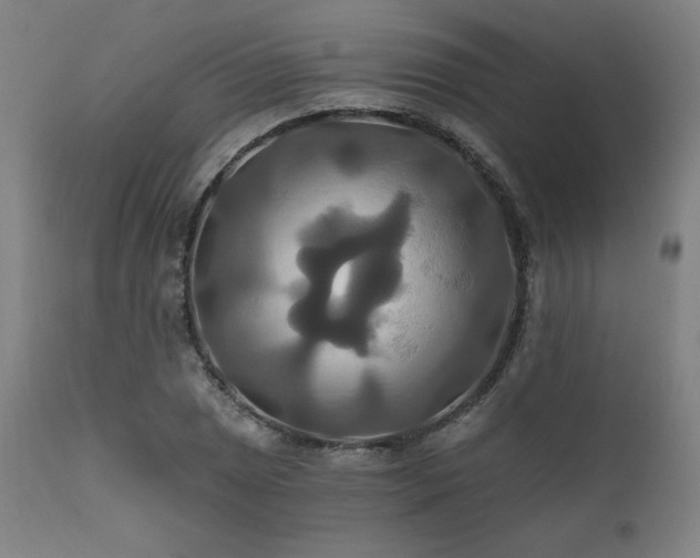 X0000111821025200907231313