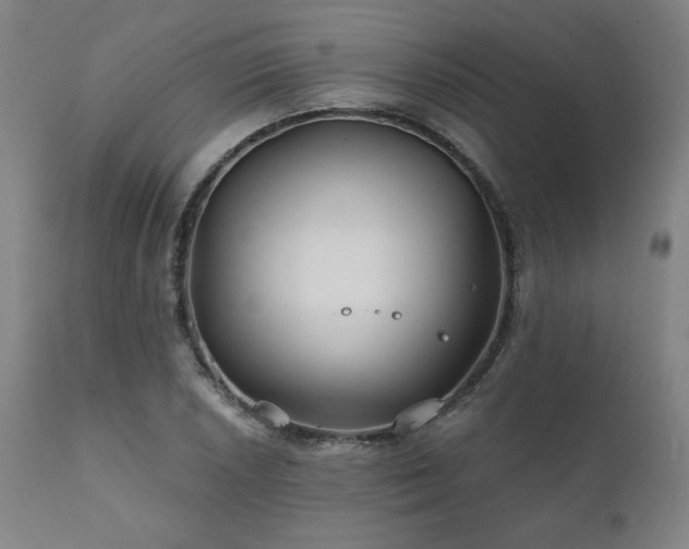 X0000111821026200907231313