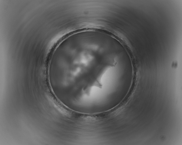 X0000111821027200907231313