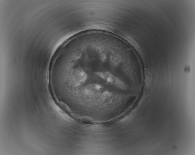 X0000111821028200907231313