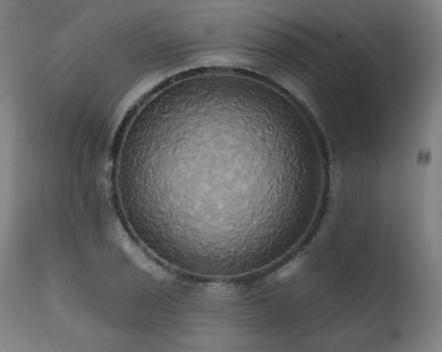 X0000111821029200907231313