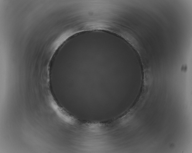 X0000111821031200907231313