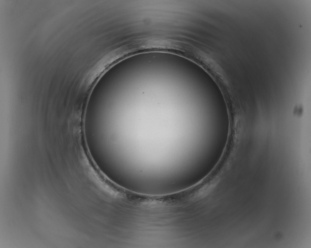 X0000111821033200907231313