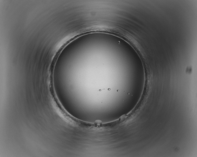 X0000111821034200907231313