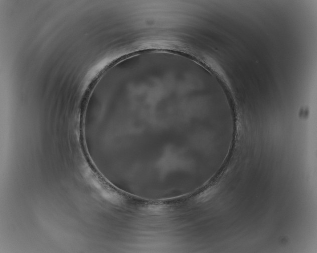 X0000111821035200907231313