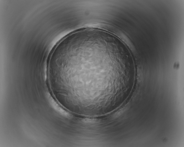 X0000111821036200907231313