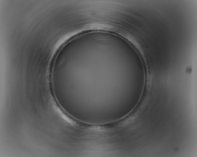 X0000111821037200907231313