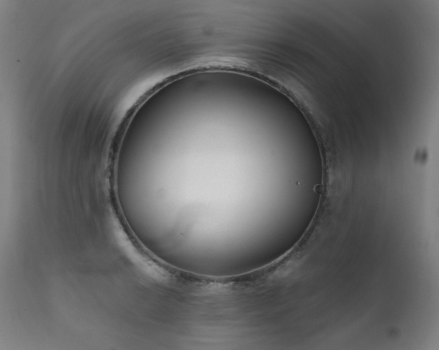 X0000111821038200907231313