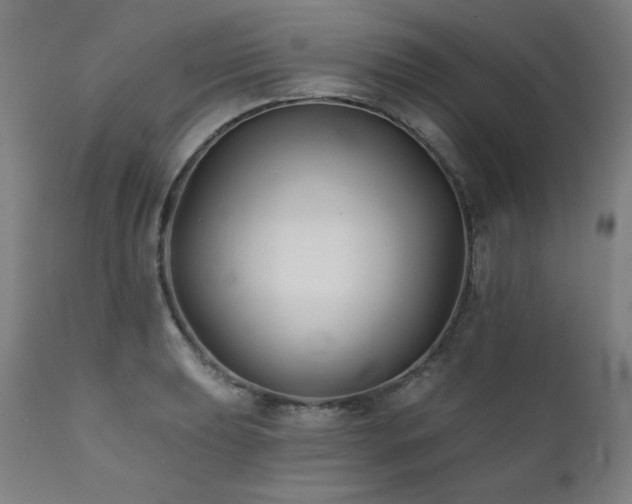 X0000111821039200907231313